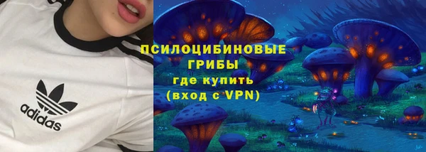 прущий лед Богородск