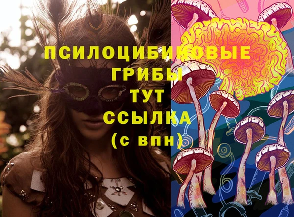 прущий лед Богородск