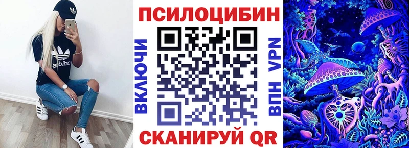 блэк спрут ССЫЛКА  Карпинск  Псилоцибиновые грибы прущие грибы 